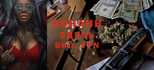 ГАЛЛЮЦИНОГЕННЫЕ ГРИБЫ Арсеньев