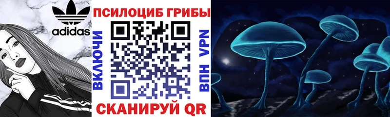 Галлюциногенные грибы Psilocybe  Советск 