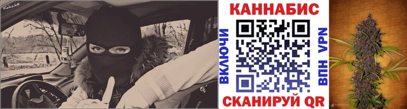 где можно купить наркотик  Советск  OMG зеркало  Бошки Шишки SATIVA & INDICA 